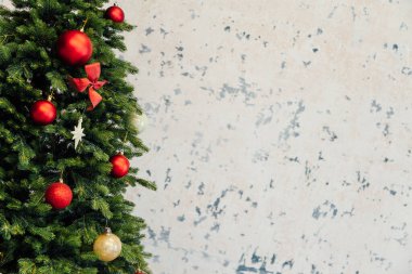 Noel ağacı dalları, yeni yıl için çam ağacı dikenleri.