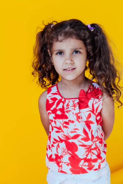 Beautiful fashionable little curly girl brunette portrait