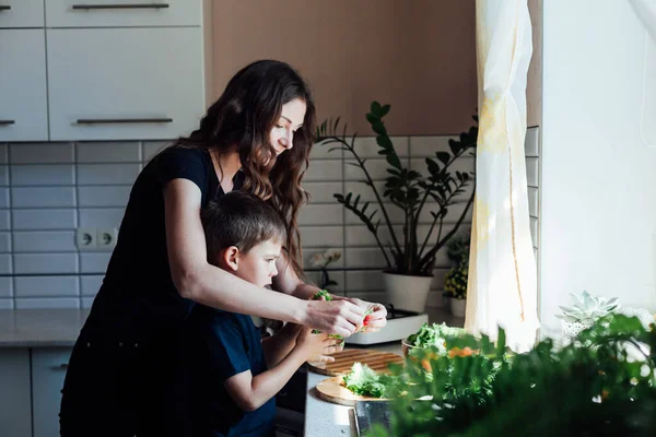 Güzel anne ve oğul salata taze sebze yapar.