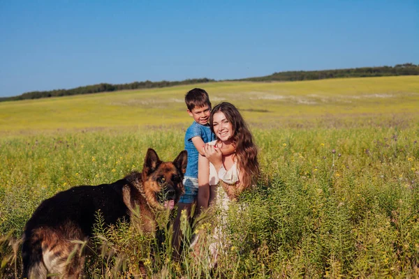 Matka z synem i psem Owczarek niemiecki w polu z żółtymi kwiatami — Zdjęcie stockowe
