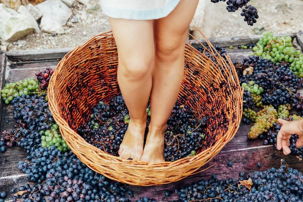 Mulher esmaga seus pés para uvas para produzir suco de uva e vinho — Fotografia de Stock