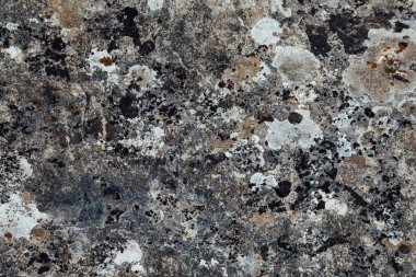 Arka plan olarak taşın eski gri eski duvar yapısı dokusu