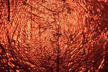 Stüdyo arka planında kırmızı desenli duvar dokusu