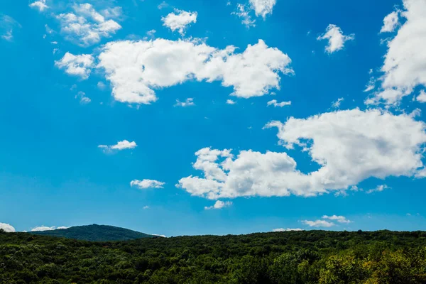 Beautiful Mount forest green blue sky and clouds — Stock Photo, Image