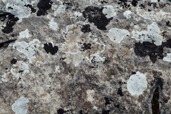 Estructura antigua pared vintage gris textura de piedra como fondo — Foto de Stock