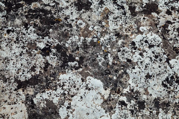 Textura de parede vintage cinza velho de pedra como fundo — Fotografia de Stock