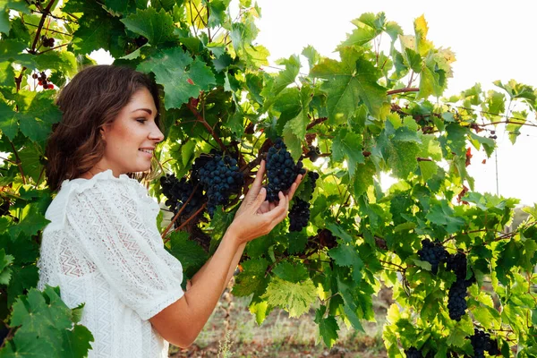 La mujer recoge uvas con las manos al vino — Foto de Stock