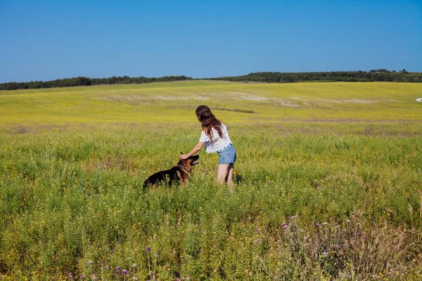 Mooie vrouw dresss Duitse herder op een wandeling in een veld — Stockfoto