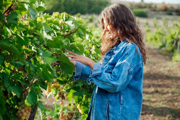 Beautiful fashionable woman in denim jacket and dress in a field of vineyards — Stock Photo, Image