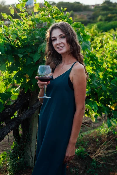 Mulher bonita no vestido bebe vinho em vinhedos — Fotografia de Stock