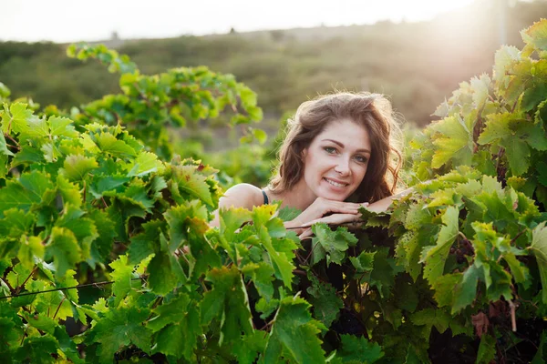 Beautiful fashionable woman in dress collects grapes in vineyards — Stock Photo, Image