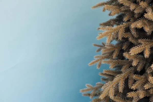 Noel arkaplanı Noel ağacı dekoru Yeni yıl için yazıtlar için yer — Stok fotoğraf