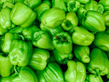 Arkaplan olarak yemek pişirmek için bir sürü olgun yeşil biber sebzesi