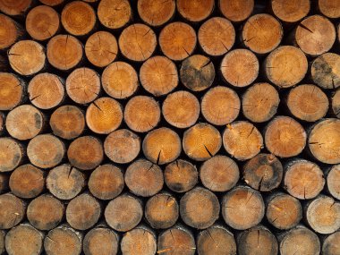 Birçok ahşap daire arka plan yapısının dokusunu kesmiş.