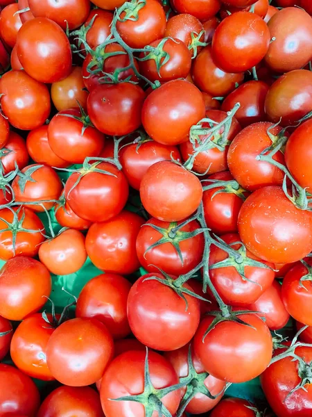 Viel reife rote Tomaten als Hintergrund — Stockfoto