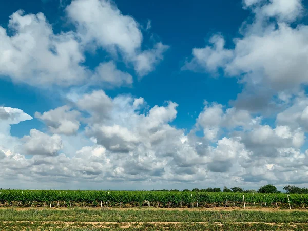 beautiful landscape gardens vineyards and blue sky with clouds