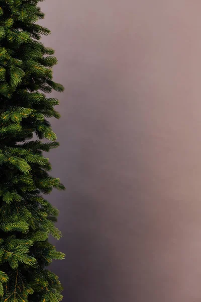 Noel ağacı çamı yeni yıl dekorasyon yeri yazılar için gri arkaplan — Stok fotoğraf