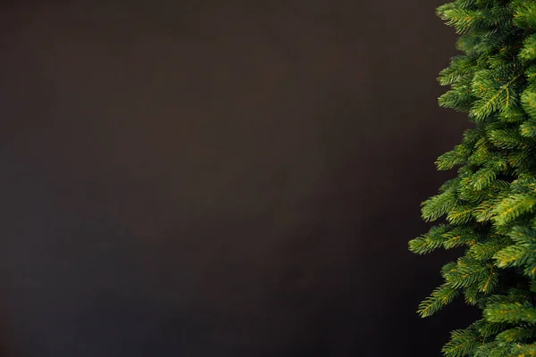 クリスマスツリーの枝は、碑文の背景のための新年の装飾の場所松 — ストック写真