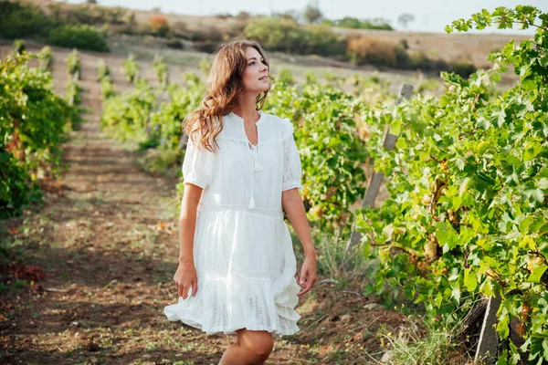 Mulher bonita em vestido branco colhendo vinhas de uvas — Fotografia de Stock