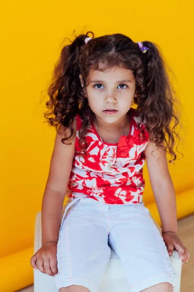 Little curly fashionable girl with two portrait braids — Stock Photo, Image