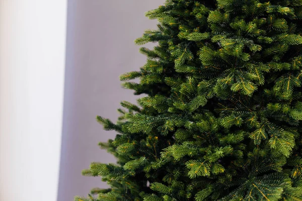 Altında hediyeler olan Noel ağacıyla süslenmiş güzel bir holdiay odası. — Stok fotoğraf