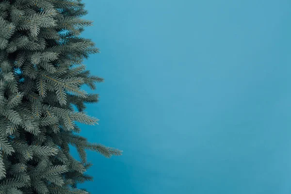 성탄절 나무 가지에 비문을 위해 새해를 맞이 할 만 한 데코 볼이 달린 나무 가지 — 스톡 사진