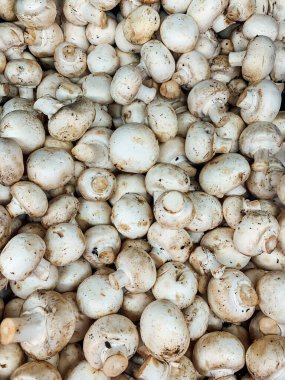 Arka planda pişirmek için mantar mantarı var.