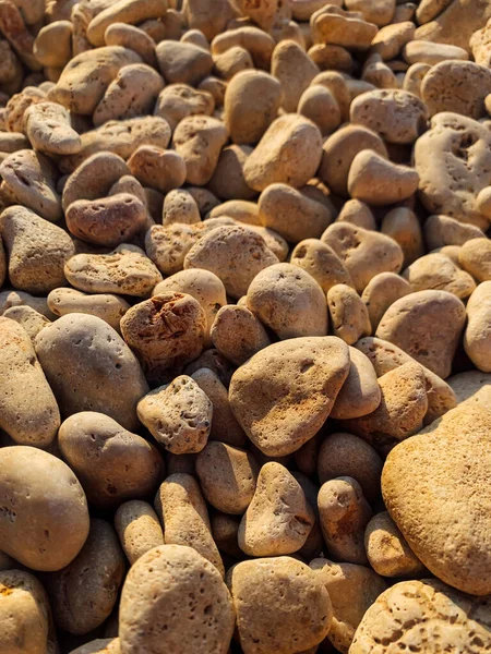 Mucha piedra de mar textura estructura fondo — Foto de Stock