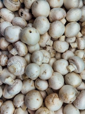 Arka plan olarak yemek pişirmek için bir sürü mantar.