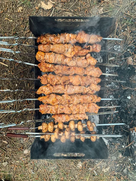 野餐时把肉制成的烤肉串放在杂志上 — 图库照片