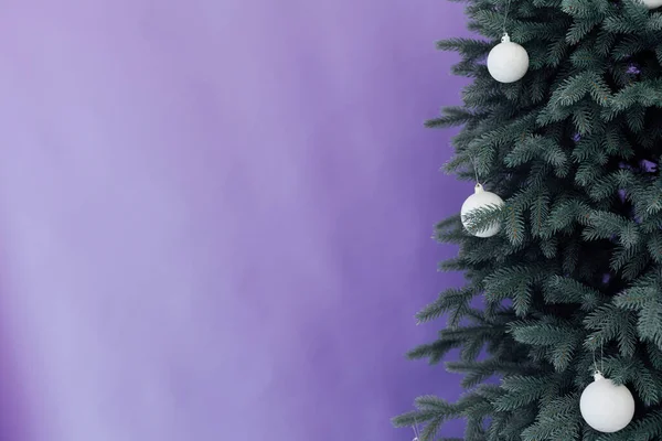 Branches de décor d'arbre de Noël pour la nouvelle année — Photo