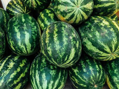 Arkaplan olarak yenecek bir sürü olgun karpuz.