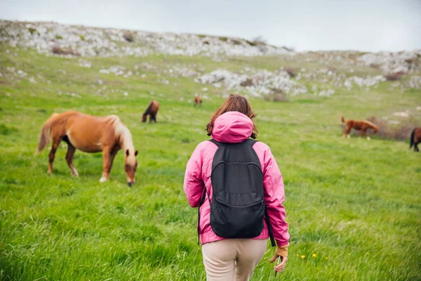 Menina olha para rebanho de cavalos pastando no prado verde nas montanhas — Fotografia de Stock