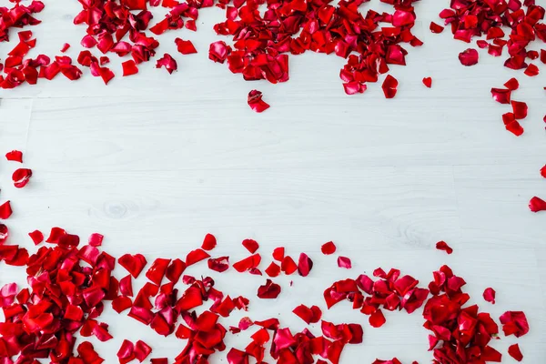 Pétalos de rosa roja sobre un fondo de madera blanca — Foto de Stock