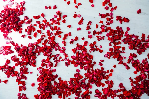 Pétalos de rosa roja sobre un fondo de madera blanca — Foto de Stock