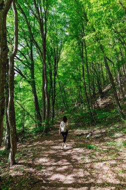 Yeşil orman doğa yolculuğunda yürüyen bir kadın