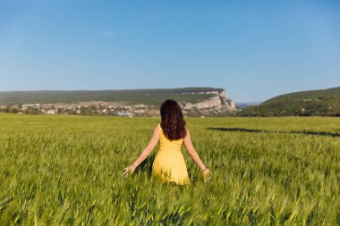 Yeşil buğday tarlasında hasat öncesi bir kadın.