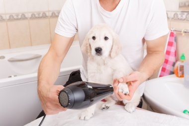 onun köpek evde bakım adam