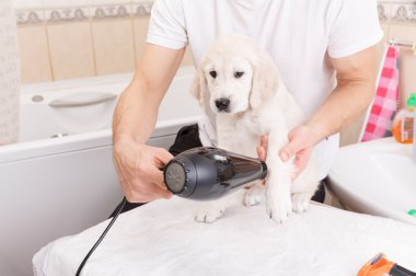 onun köpek evde bakım adam