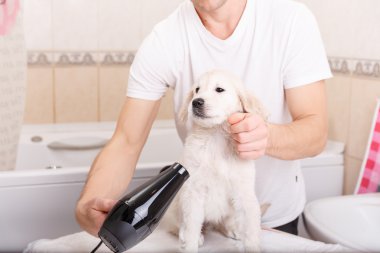 onun köpek evde bakım adam