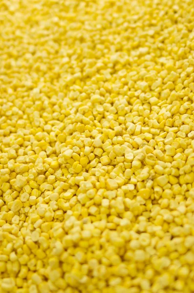 Sweet Corn background — Stock Photo, Image