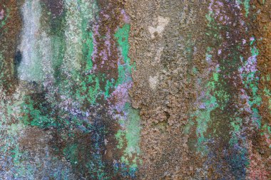 Islak yüzeyde renkli yosun dokusu