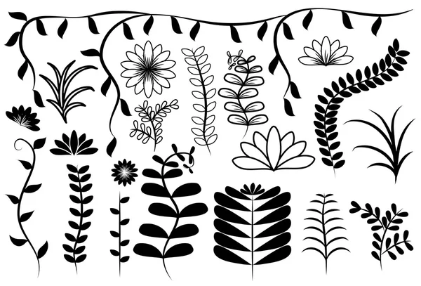 花と葉の要素セット — ストックベクタ