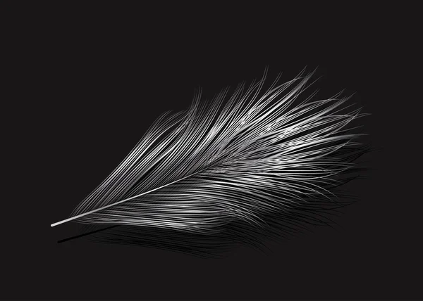 Ilustración vectorial de la pluma de plata — Vector de stock