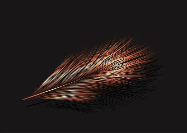 Ilustración vectorial de la pluma de cobre — Vector de stock