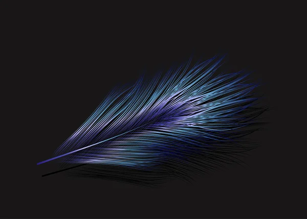 Illustration vectorielle de la plume bleue — Image vectorielle