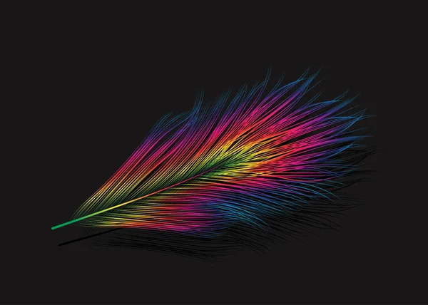 Pluma aislada vectorial . — Vector de stock