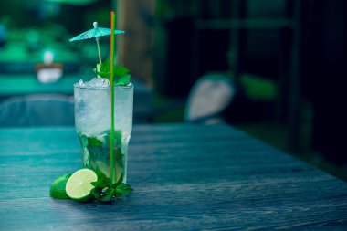 Mavi bir tencerede iğne olan yeşil kaktüs. Yalnız, yalnız.