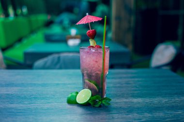 Mavi bir tencerede iğne olan yeşil kaktüs. Yalnız, yalnız.