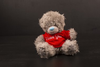 Büyük ayı yumuşak oyuncak siyah arka plan üzerine izole